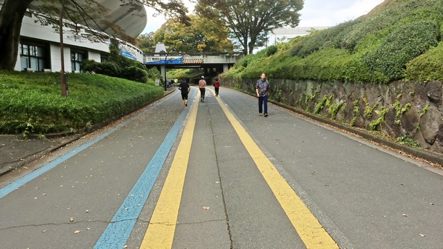 駒沢公園ランニングコース