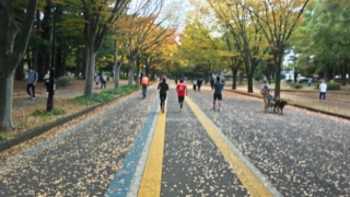 駒沢公園ランニングコース