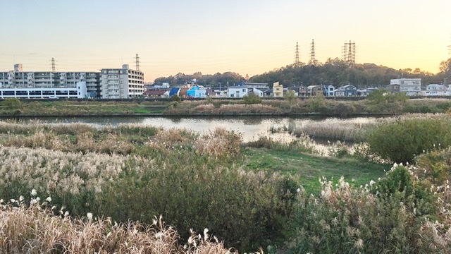 神奈川県横浜市を流れる早淵川流域
