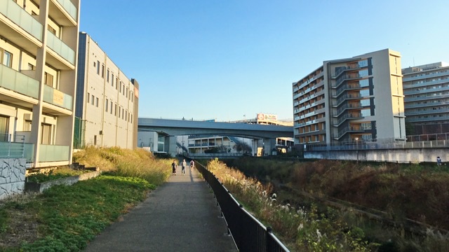 神奈川県横浜市を流れる早淵川流域