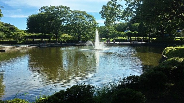 平塚市総合公園の噴水池