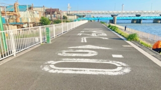 鶴見川河口の路面標示