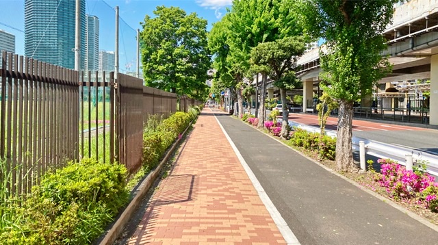 東京海洋大学脇の歩道