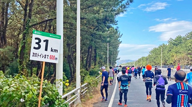 湘南国際マラソンの距離表示31km地点