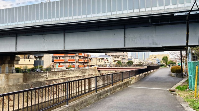 矢上川の日吉橋