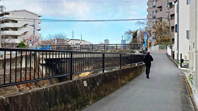 矢上川の鷹の巣橋