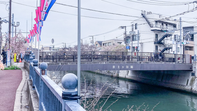 大岡川の井土ヶ谷橋
