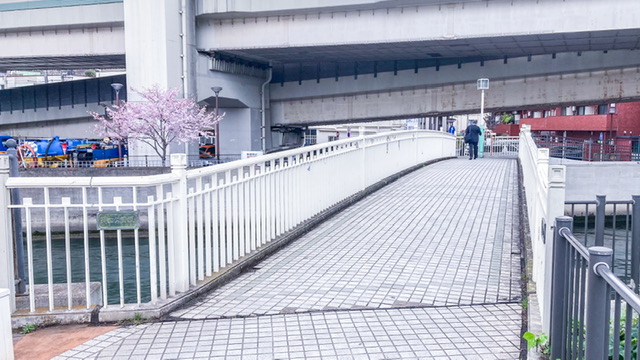 大岡川の蒔田公園橋
