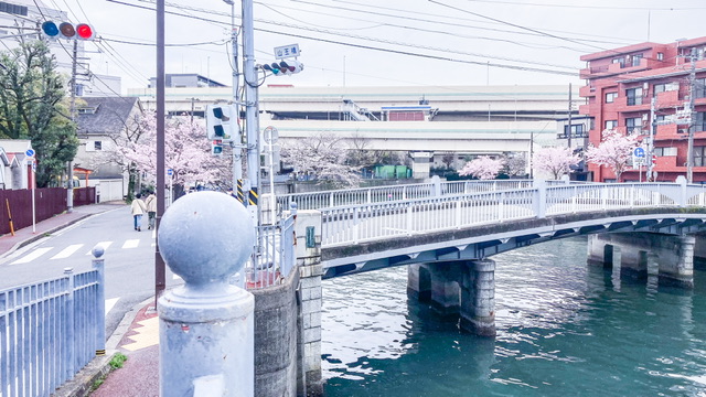 大岡川の山王橋