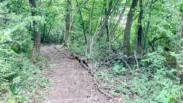 大平森林公園登山道（トレランコース）