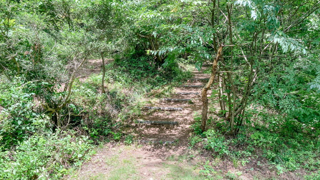 大平森林公園登山道（トレッキングコース）