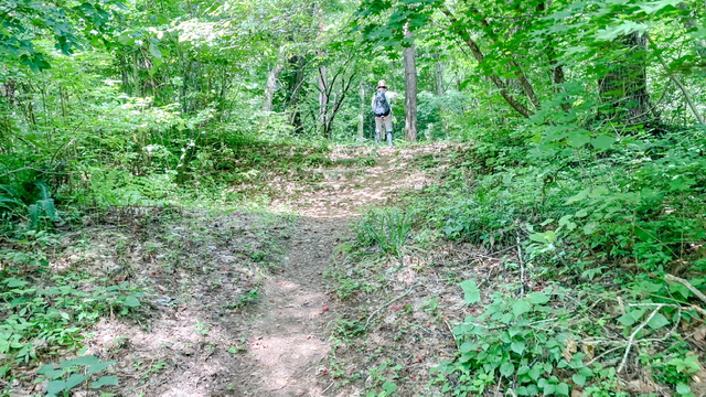 大平森林公園登山道（トレッキングコース）