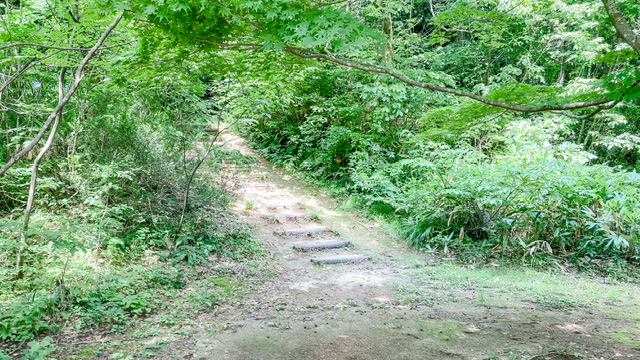 大平森林公園登山道（トレッキングコース）