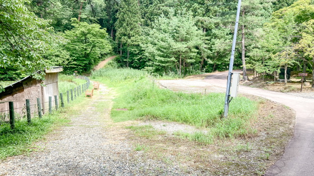 大平森林公園登山道（トレッキングコース）