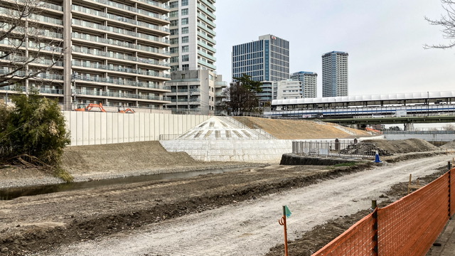 たまリバー50K二子玉川付近の堤防（2025年2月時点）